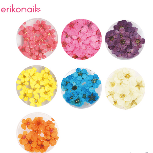 Erikonail Dried Flower (20pcs)