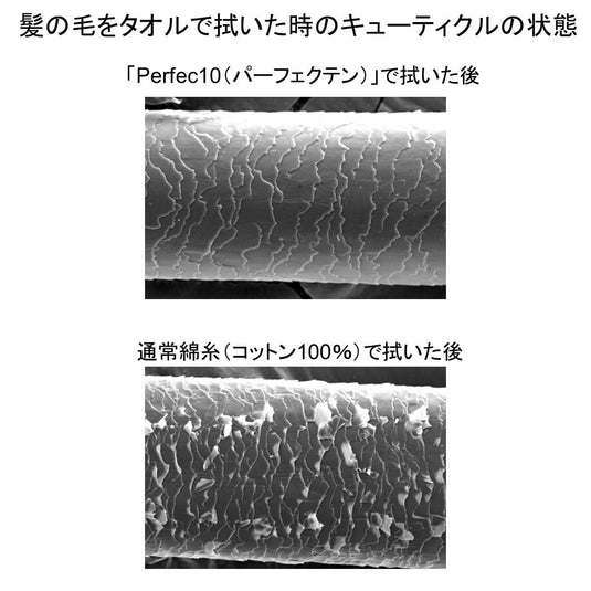 Air Kaoru Perfec10 for hair, 34 x 120 cm (choose from two colors)