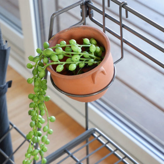 Wire Botanical Rack (WW-WBR)