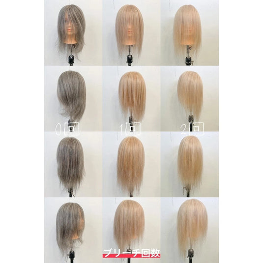 Cutting Wig – Grey 60% (Training Use / 100% Human Hair)