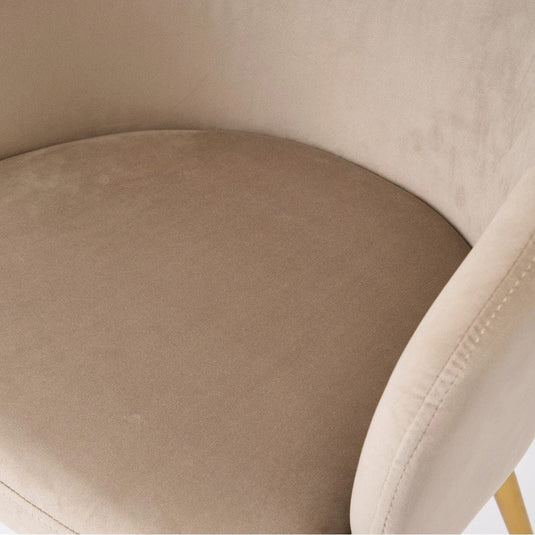 Velvet-Style Round Chair