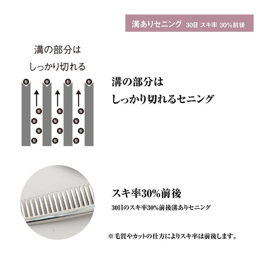 DEEDS GSZ630IV Thinning Scissors, 30-tooth V-Groove (6.0 inches, approximately 30% thinning rate)