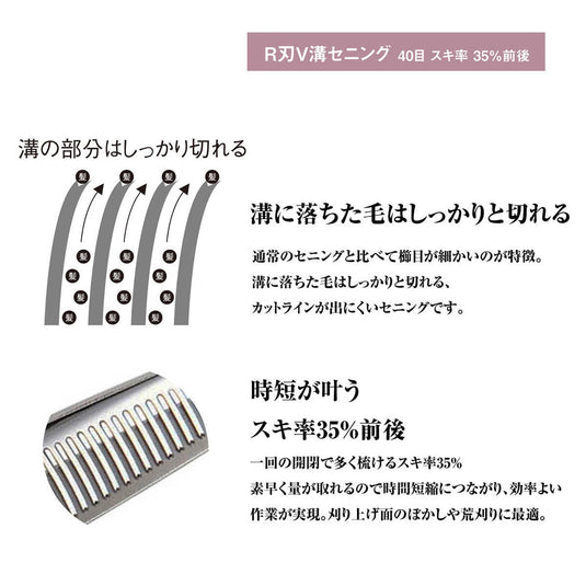 DEEDS GTZ640RV Thinning Scissors, 40-tooth, V-Groove, R-Blade (6.0 inches, thinning rate of approximately 35%)