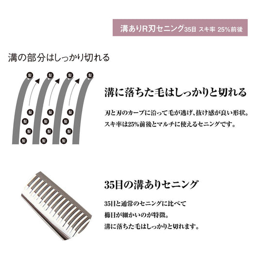 DEEDS XXA Scissors and Thinning Set