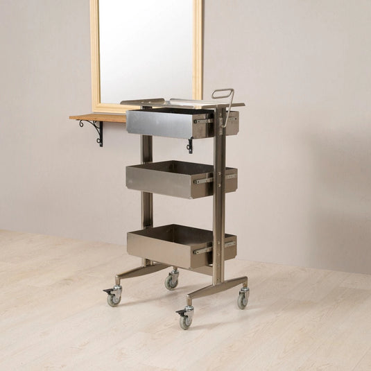 Stainless Steel Slide Wagon