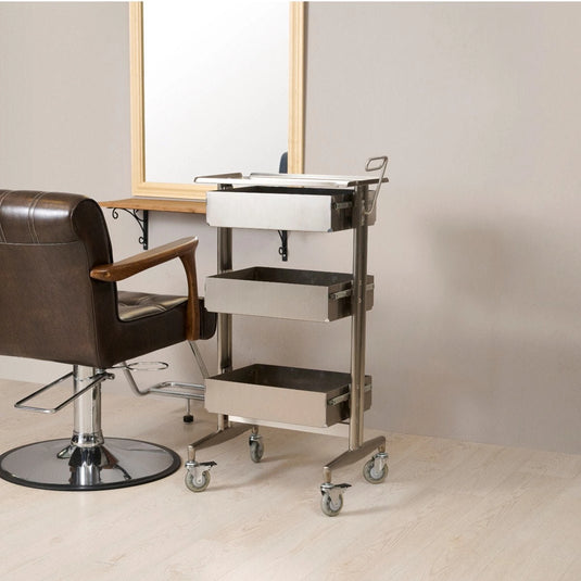 Stainless Steel Slide Wagon