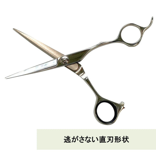 C01 Scissors 6.0 inches