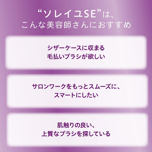 AIVIL Face Brush Soleil SE