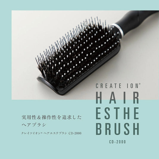 Hair Esthe Brush CD-2000