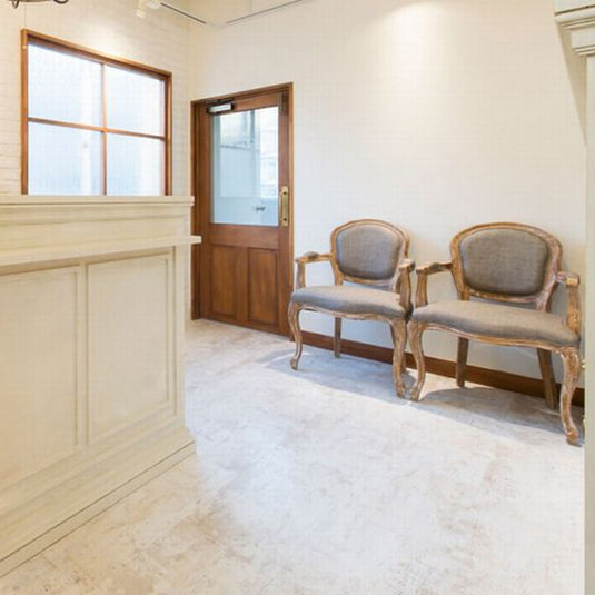 Shabby Chic Styling Chair Luminous - Ash Grey