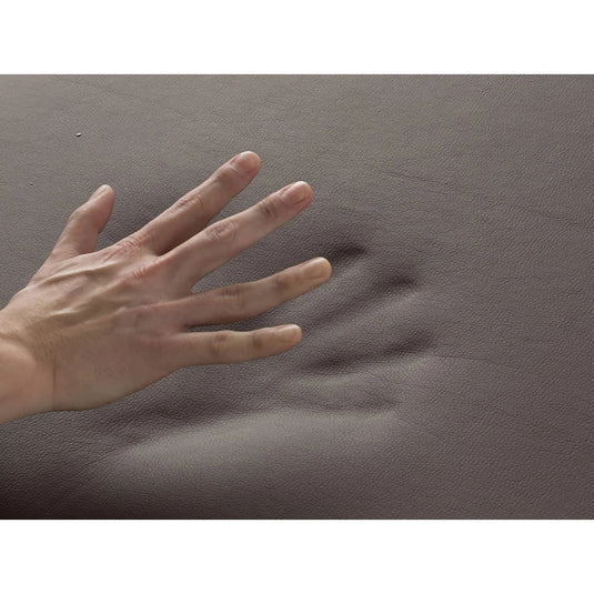 Luxury Low-Rebound Wooden Folding Reclining Bed 009SDX PLUS - Available 2Colors