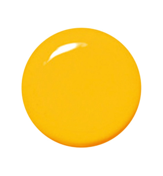 KOKOIST Color Gel 2.5g