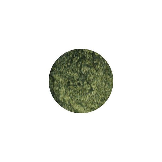 PREGEL Blythe Collaboration Series G DOLL-B54 Abyssal Forest 3g