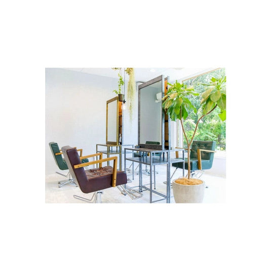 Antique Iron Dresser (Aged Finish) (Available in 2 Colors)