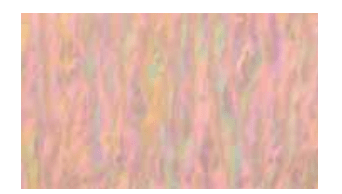 Clou Shell Sticker 40 x 70mm