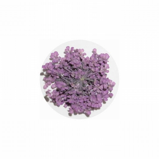 MATIERE Dried Flower 0.2g