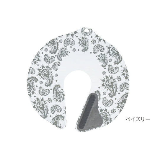 Paisley