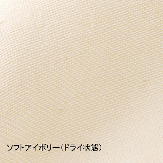 Soft Ivory