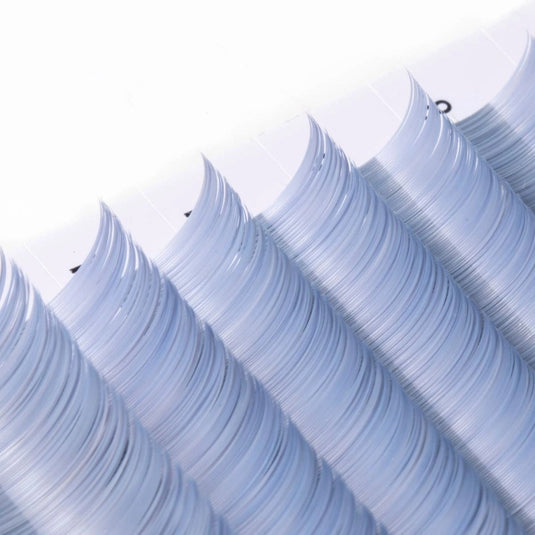 [New] BIVA LASH Flat Color Blue Gray BG
