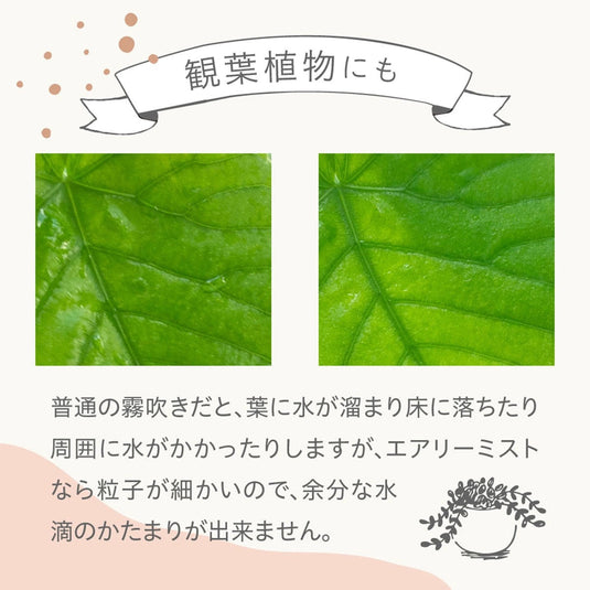 AIVIL Airy Mist Mini Mini 100ml (White)