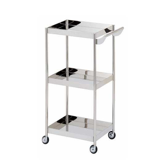 C-530 Stainless Steel Salon Trolley - Mirror Finish (Made in Japan, Pre-Assembled)