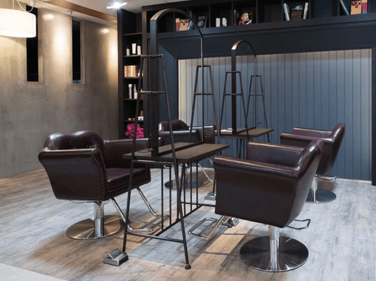[Luxury] Belta Styling Chair (HD-A-020) (3 colors + 8 base options)