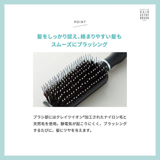 Hair Esthe Brush CD-2000