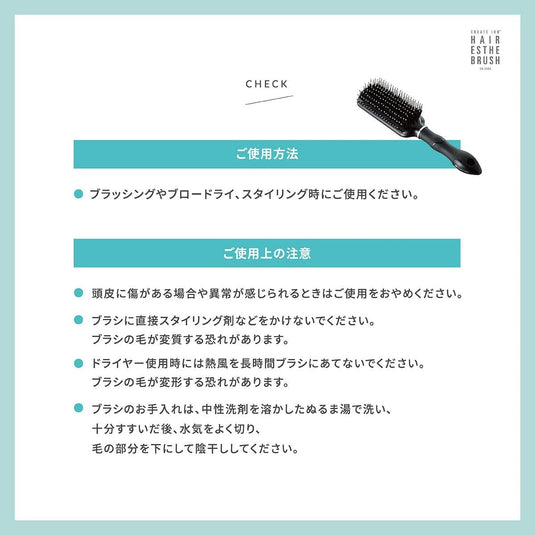 Hair Esthe Brush CD-2000