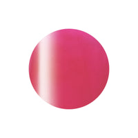 C 507 Cassis Syrup