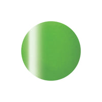 C 509 Melon Syrup