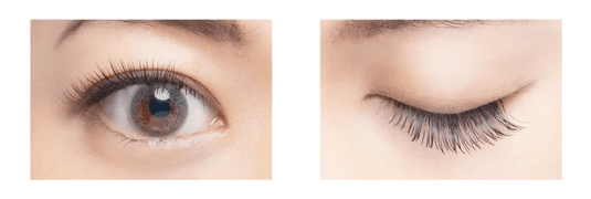 Flat Lash Matte Black [C Curl Thickness 0.15 Length 7-12MIX]