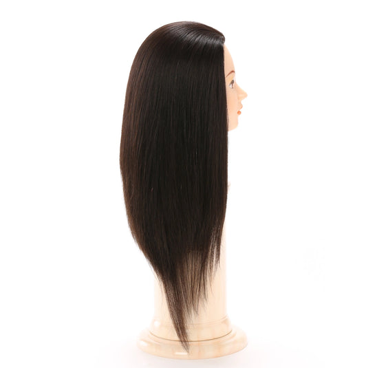 Regina 088SDL [For up-training/100% human hair]