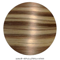 Dark Ash Brown Highlight