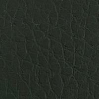 Finland Forest D2465