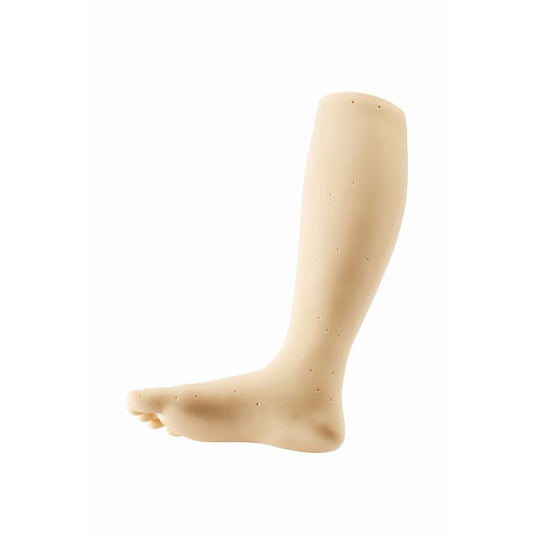 Leg Mannequin Practice Stand (Right Foot)