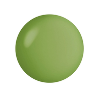 E-243S Pistachio Bread Pudding