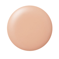 E-252 Warm Concealer