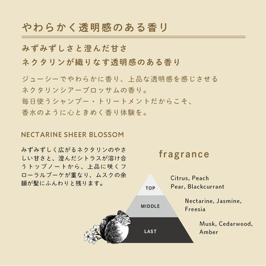 Deep Layer Treatment ExV (3 Sizes available)