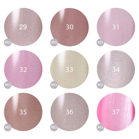 Raygel Magnet Color Gel  [5g]