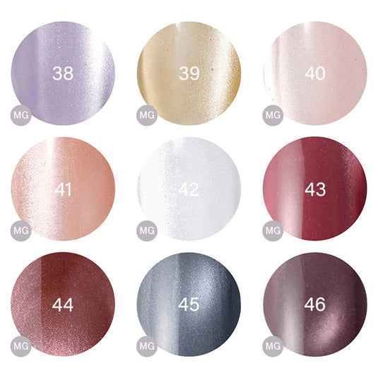 Raygel Magnet Color Gel  [5g]