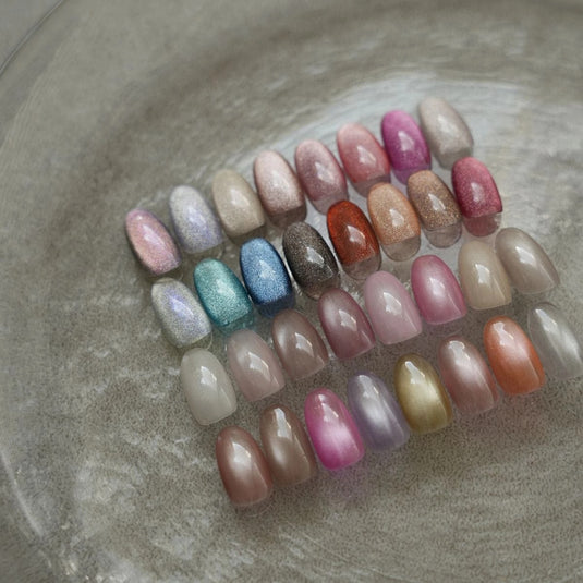 Raygel Magnet Color Gel  [5g]