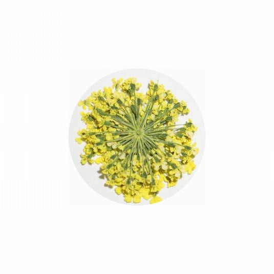 MATIERE Dried Flower 0.2g