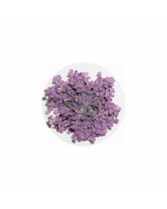 MATIERE Dried Flower Purple 0.2g