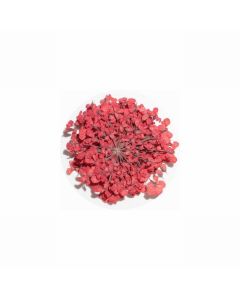 MATIERE Dried Flower Red 0.2g