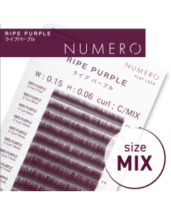 NUMERO Color Matte Flatlash RIPE PURPLE J-Curl 0.15 MIX 7mm-12mm