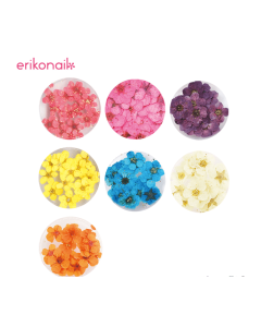 Erikonail Dried Flower (20pcs)
