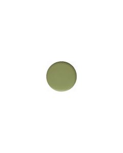PREGEL Colour EX M CE304 Grayish Leaf 3g/4g