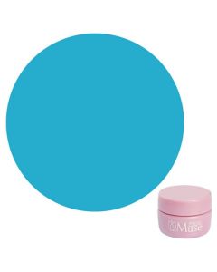 Muse Colour Gel S PGM-S195 Blooming City 4g